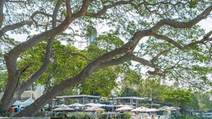 An outdoor seating area with wicker furniture, a view of the surrounding greenery, and a building with multiple levels. - Sea View Room Luxury Amenities (Muang Pattaya)