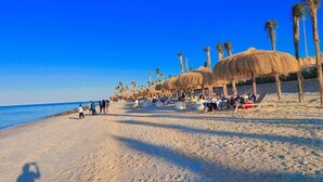 Ein Strand mit Reetdachschirmen, Palmen und entspannten Menschen.