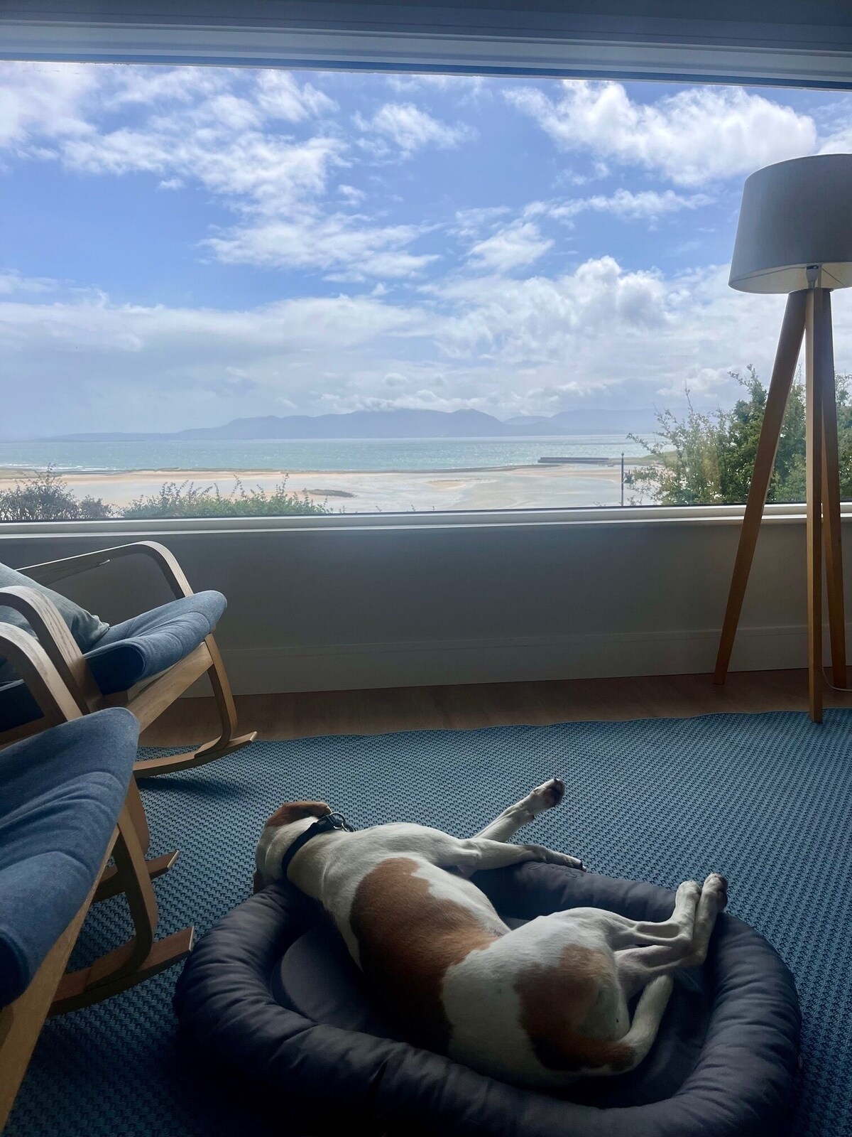 Image de profil de l’hôte