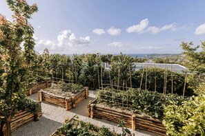 Overnattingsstedets uteområder