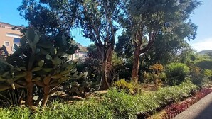 A garden with various plants and trees, a paved path, and a building in the background. - 2-room apartment with air conditioning in Cavalaire-sur-Mer (Cavalaire-sur-Mer)