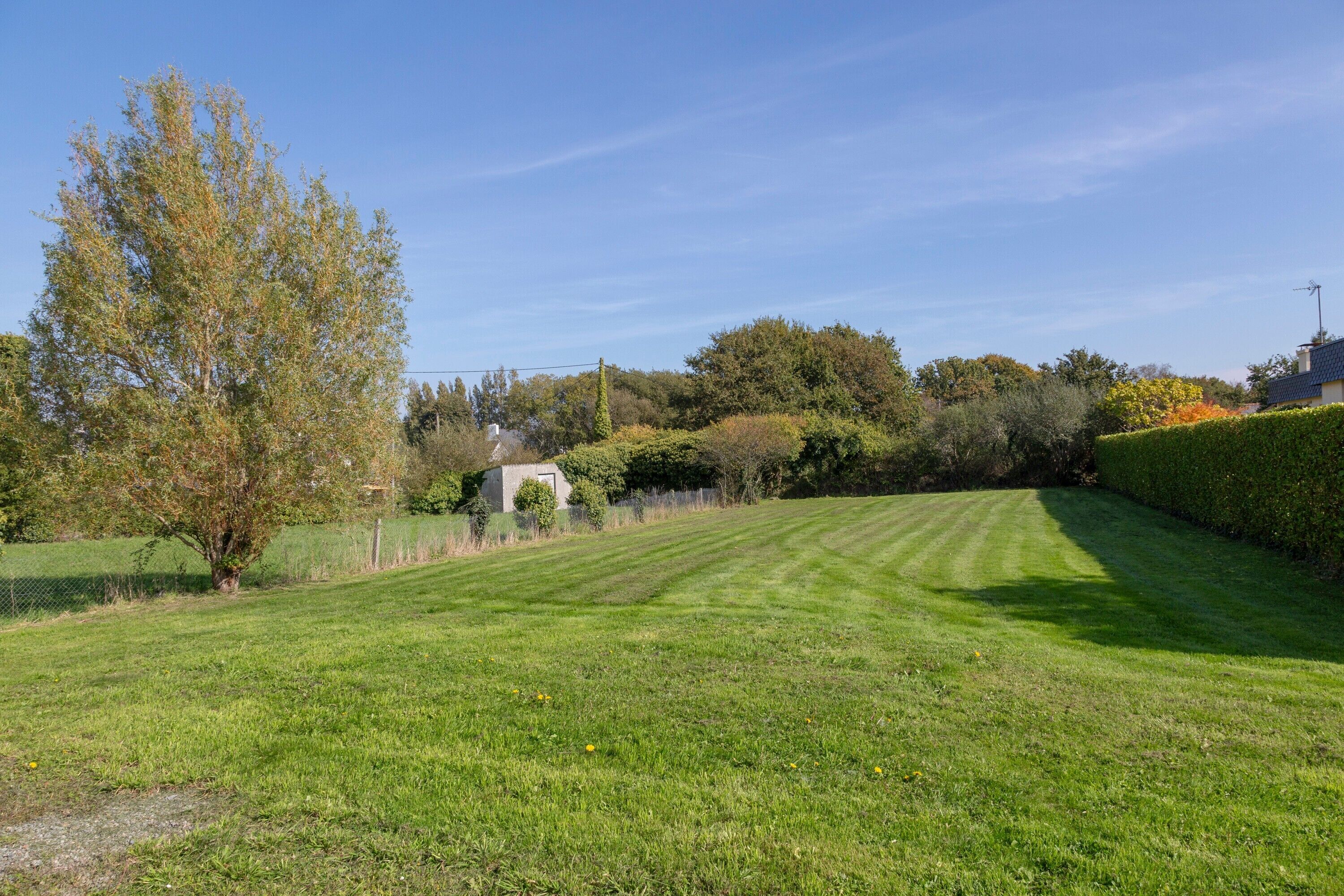 A well-maintained grassy field with a tree, a small structure, and a hedge.