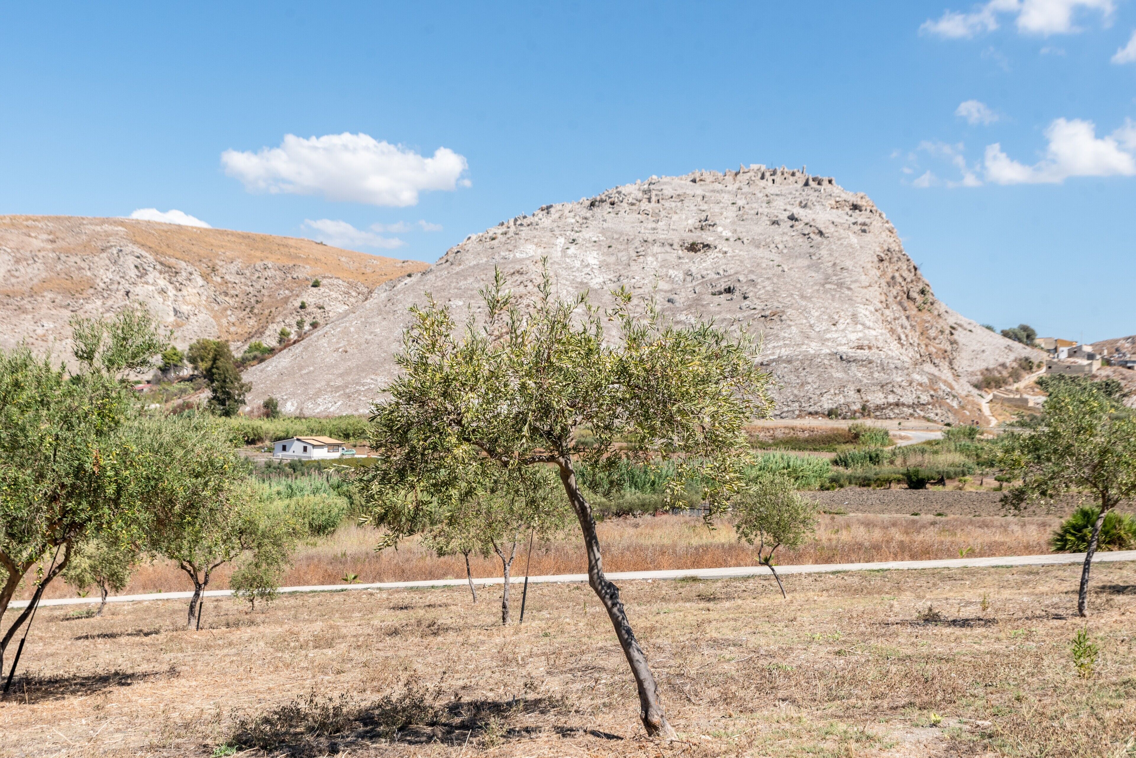 A dry landscape with sparse vegetation, a prominent hill, and a road in the foreground.