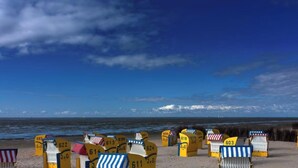 A beach with yellow beach chairs and umbrellas, a clear blue sky, and the ocean in the background.