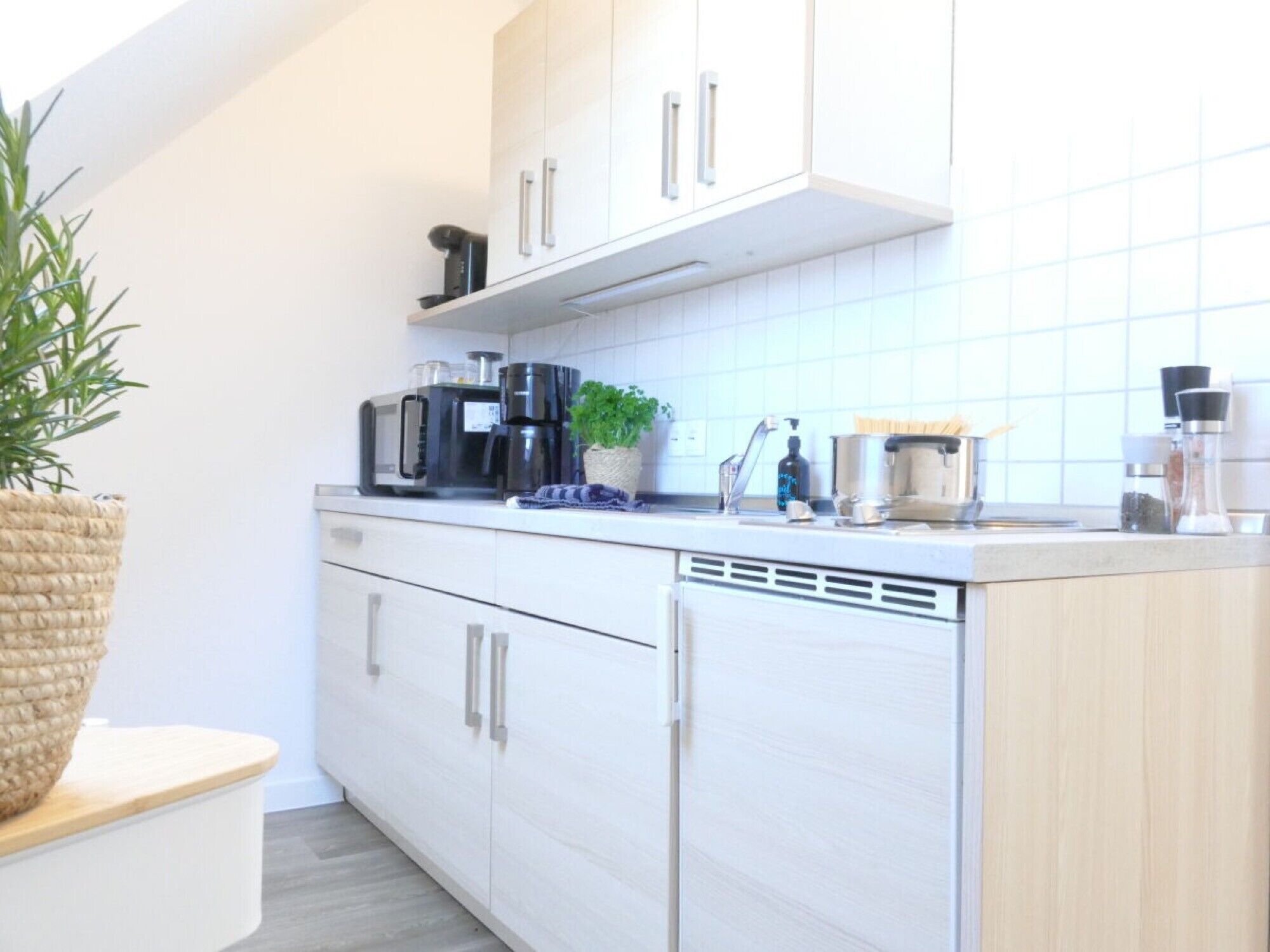 Una cocina moderna con armarios blancos, una cafetera, una planta y un lavamanos.