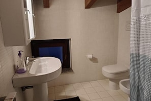 Shower, hair dryer, bidet, towels