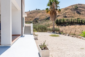 A modern building with a white exterior, a concrete pathway leading to a set of stairs, and a gravel area with potted plants and a palm tree.