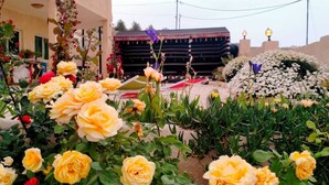 A garden with yellow roses and white flowers in front of a building with a balcony. - b&b petrafarmhouse  (Wadi Musa)