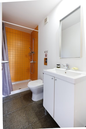 Douche, séchoir à cheveux, serviettes fournies