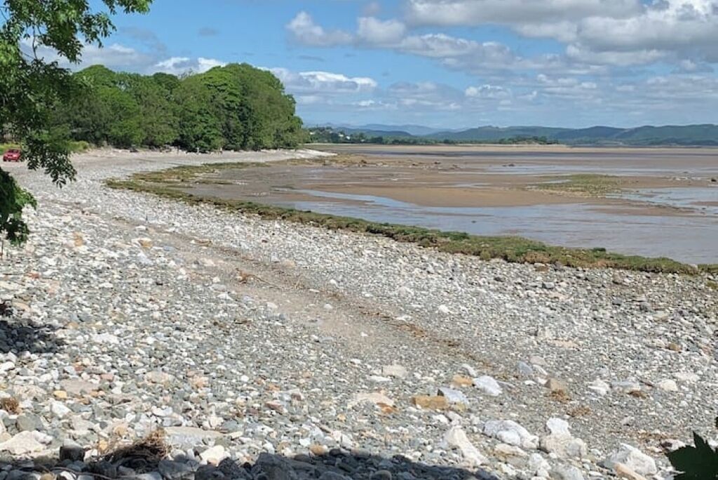 A pebbled beach with a forested area in the background.