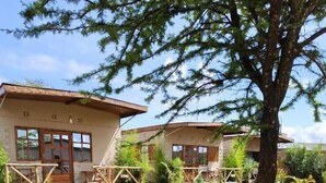 Ảnh chưa phân loại, 2 trong số 33 ảnh, nút