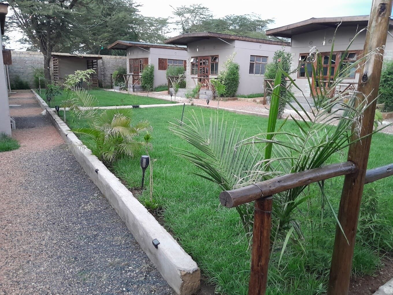 Un quartier résidentiel avec une pelouse bien entretenue, une clôture en bois et un petit jardin agrémenté de diverses plantes.