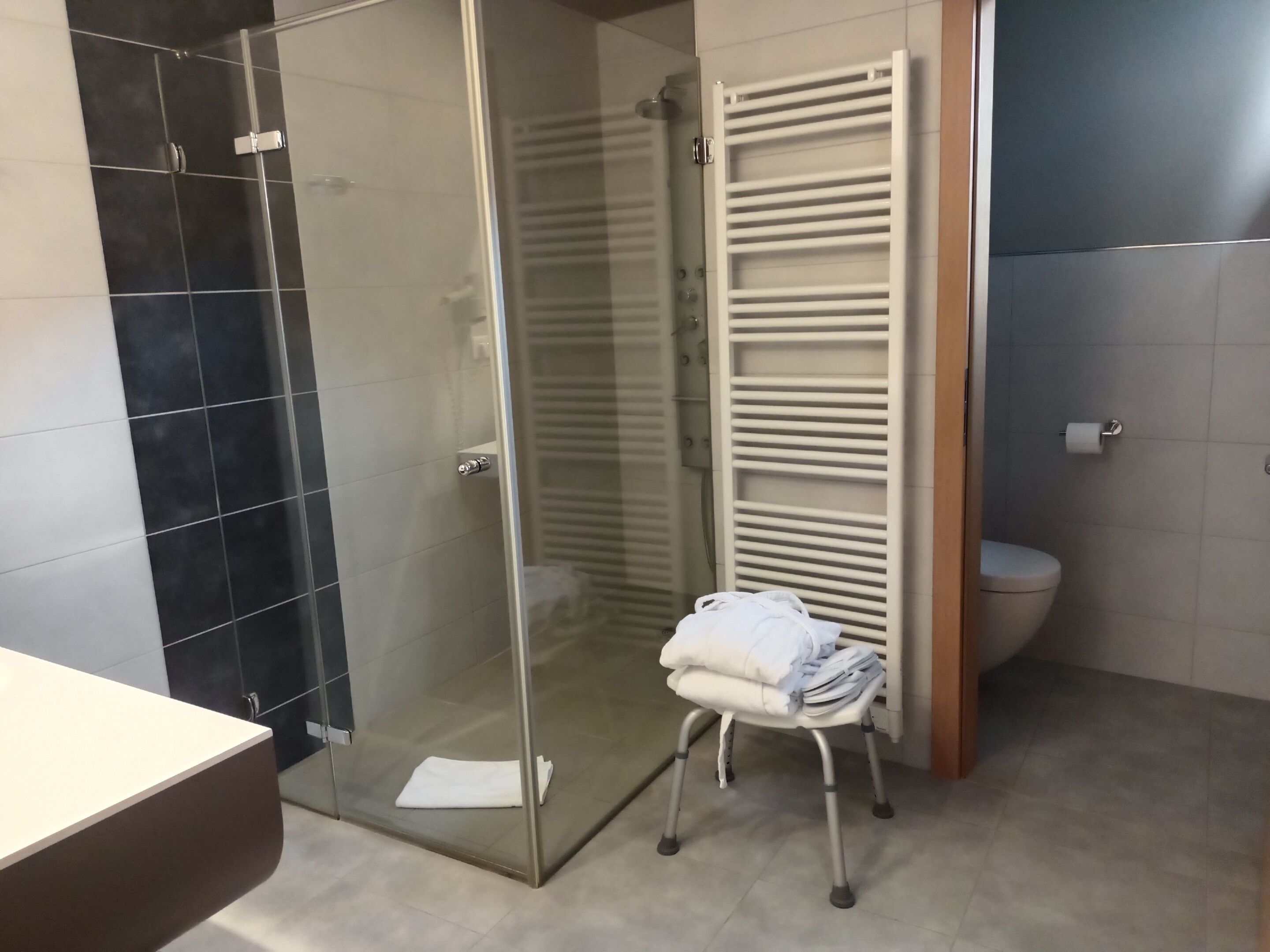 Une salle de bain moderne avec une douche à parois de verre, un porte-serviettes blanc et des toilettes.