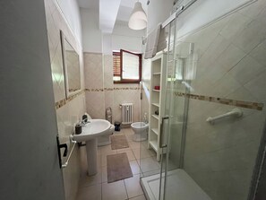 Hair dryer, bidet, towels, soap