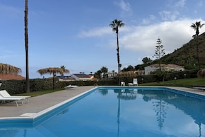 A clear blue swimming pool with lounge chairs and palm trees in the background.
