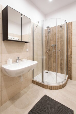 Shower, hair dryer, bidet, towels