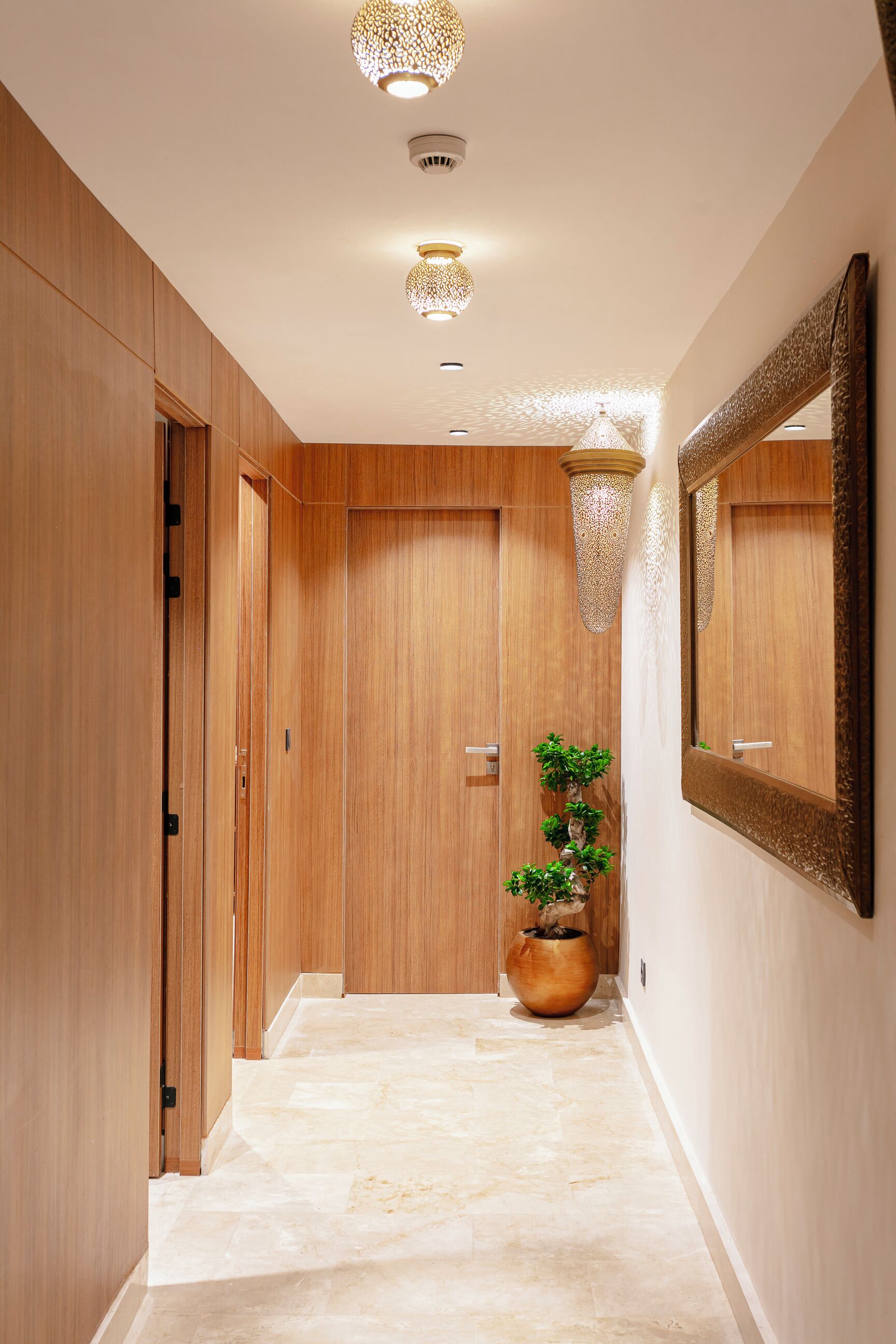 Un pasillo con puertas de madera, una planta en maceta y un espejo en la pared.