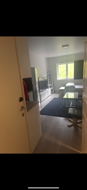 1 bedroom - Joy Vulcan Center Apartment (Oslo)