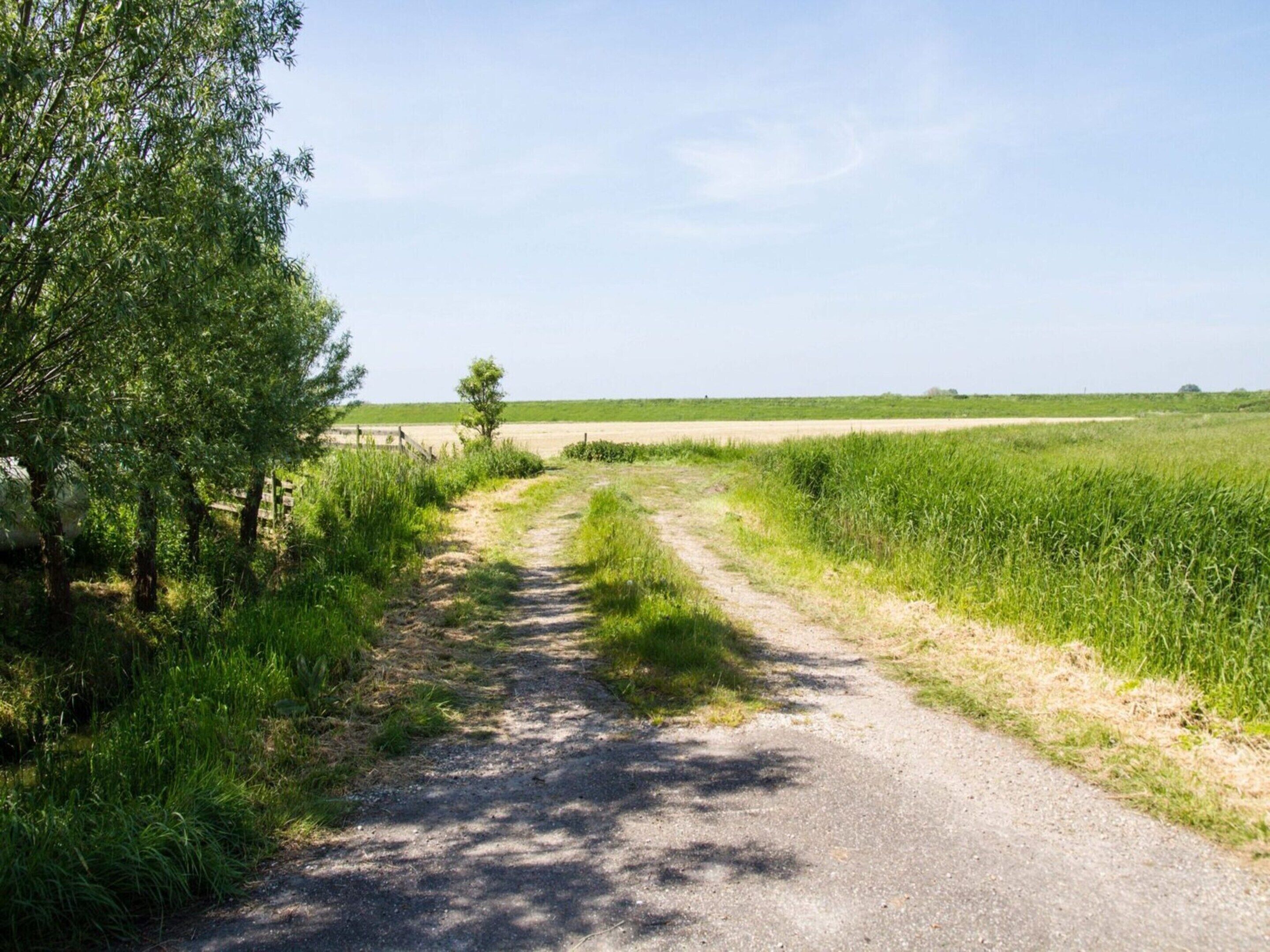 A rural dirt road flanked by green fields and trees, leading to a distant horizon.