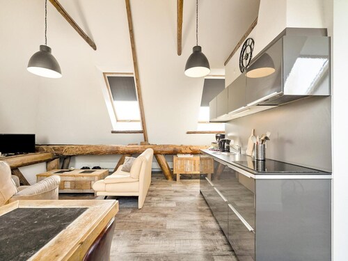 Rustic Apartment in old Dutch Farmhouse