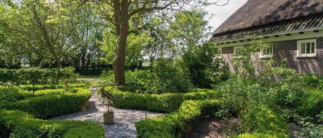 Appartement | Jardin