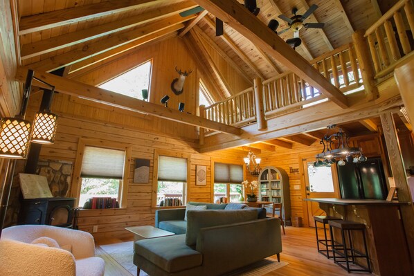 Smart TV, chimenea, reproductor de DVD y libros 