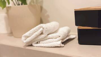 Shower, hair dryer, towels