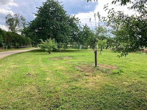Une zone herbeuse avec des arbres et une clôture en arrière-plan.