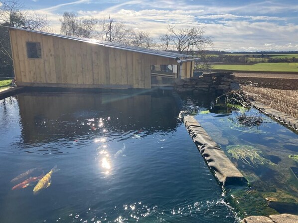 Una estructura de madera sobre un estanque con peces, rodeada de un paisaje rural.