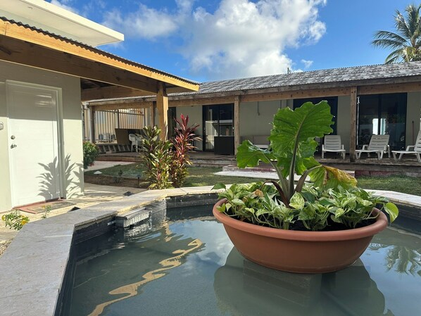 Un área de piscina con una planta en maceta en el centro, rodeada de sillas de descanso y un porche cubierto.