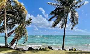 Una playa con palmeras y agua azul cristalina.