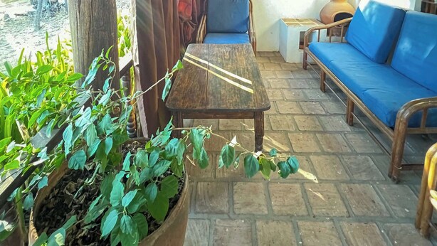 A covered patio with a wooden table, blue sofa, and potted plants. - w Peaceful 1BR Surrounded by Nature in Huaraz (Yungar)