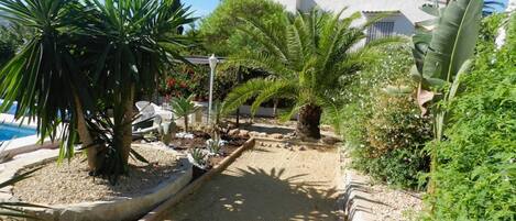 A garden pathway with palm trees, a pool, and a white building with a sloped roof.