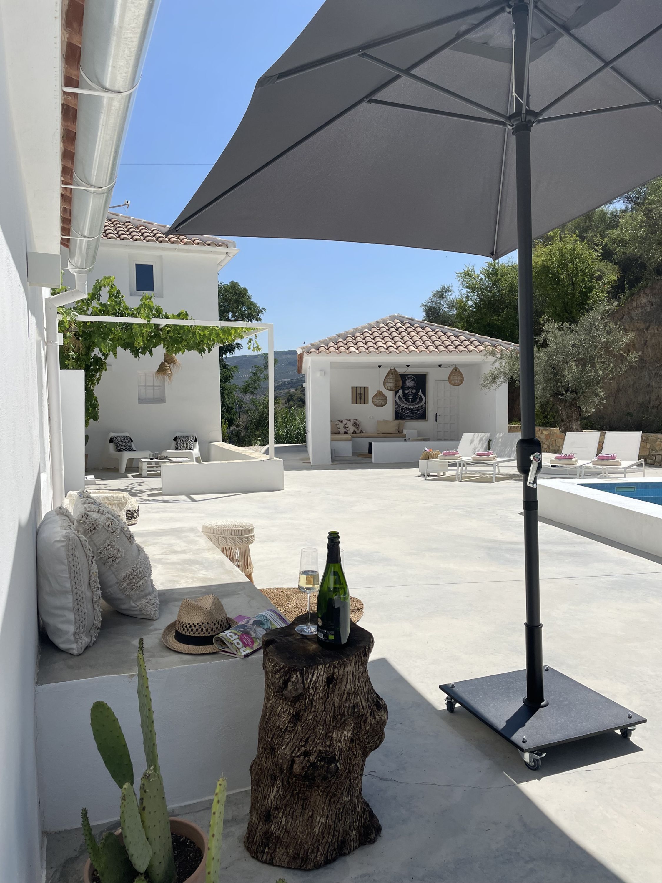 Une terrasse sur le toit avec une piscine, des meubles blancs et un cactus.