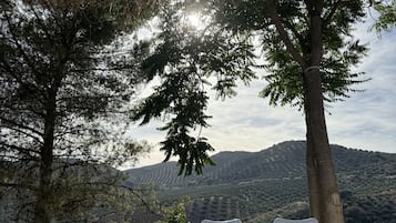 Villa | 3 bedrooms
