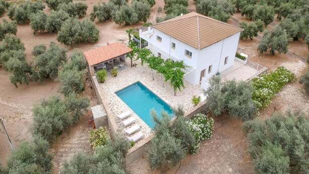 A white villa with a tiled roof, a swimming pool, and olive groves surrounding it. - Casa Olivo in Izn jar (Iznajar)