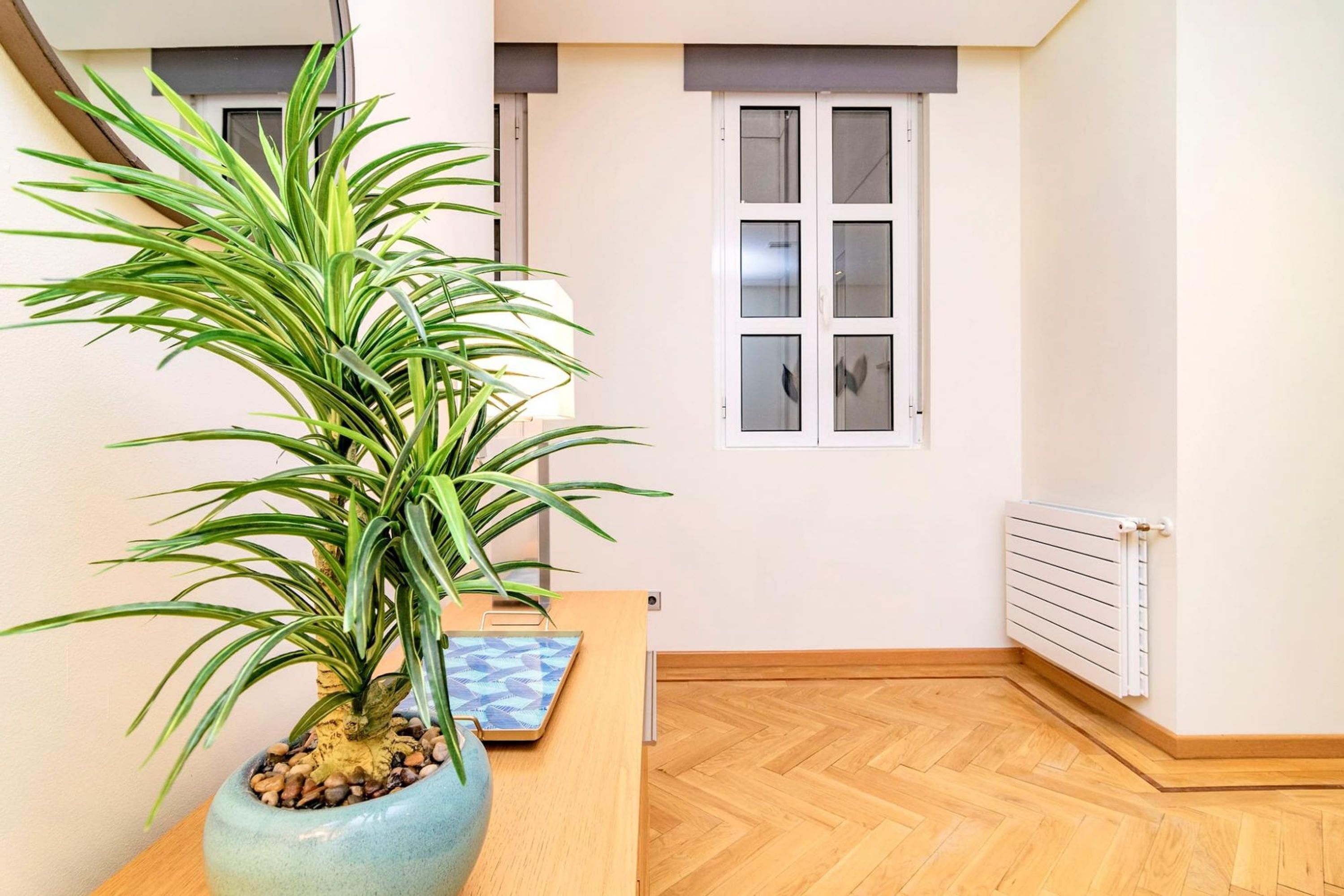 Apartment | 3 bedrooms