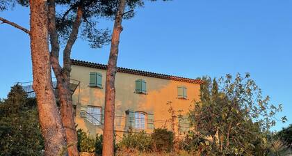 Vendange Tardive in Flayosc
