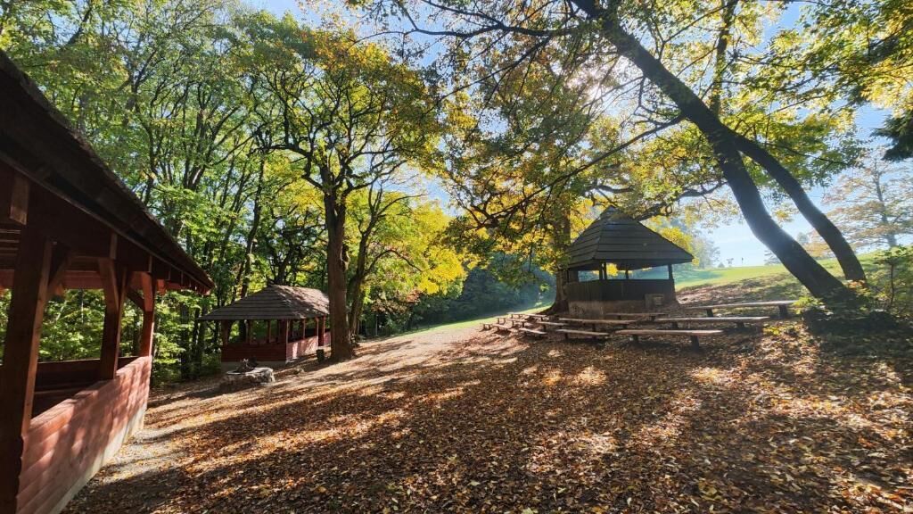 Un pabellón, una estructura de madera, y un área de picnic en un parque arbolado.