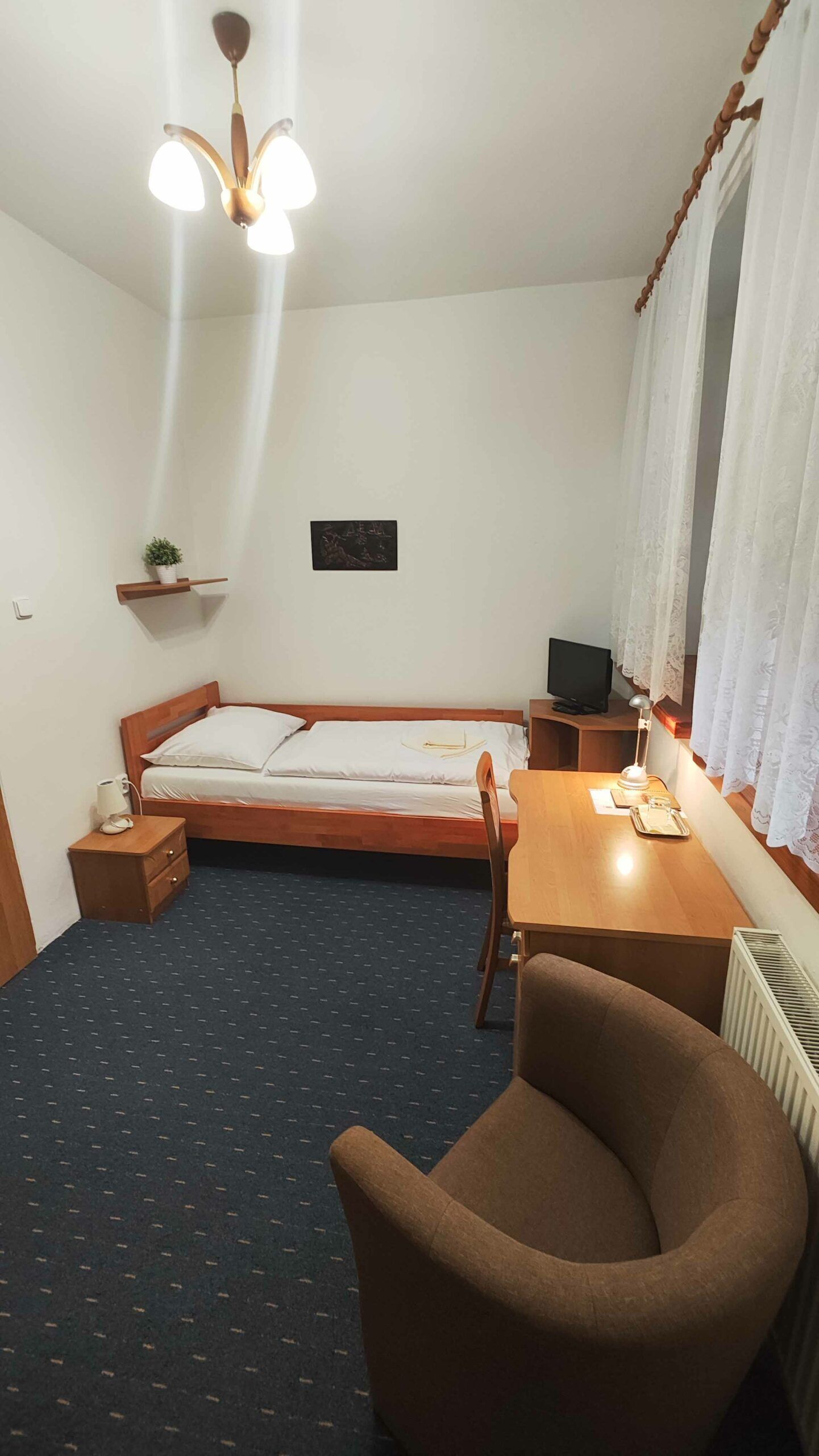 A small room with a single bed, a desk, a chair, a TV, a plant, and a ceiling fan.