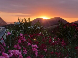 A sunset over a mountainous landscape with a variety of flowers in the foreground. - T3 Piscine Avec Jardin Proche St-florent (Barbaggio)