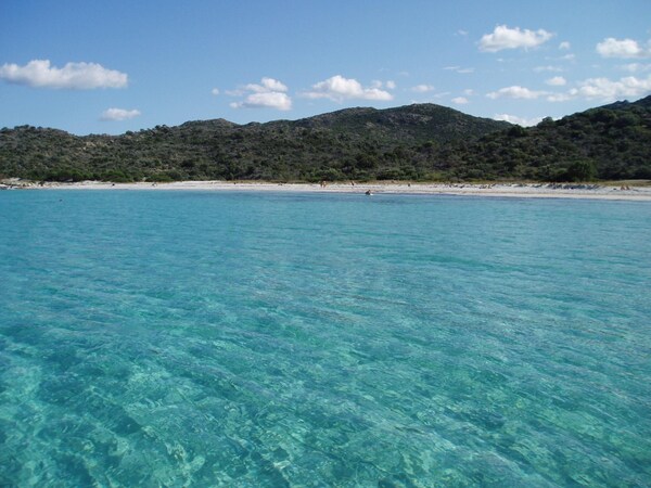 Mor315- T2 Neuf Vue Mer 100m Plage - Saint-Florent