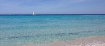 Mor315- T2 Neuf Vue mer 100m Plage