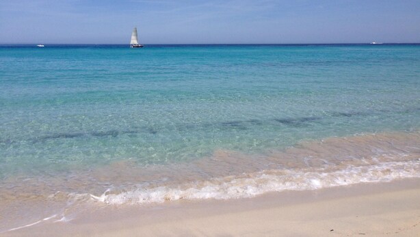 A beach with clear turquoise water and a sailboat in the distance. - Mor205 T2 Neuf vue mer acc s Plage (Saint-Florent)