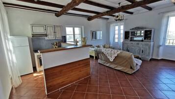 Apartment, Smoking | 1 bedroom