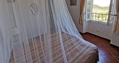 Appartement Palazzo T2 Patrimonio