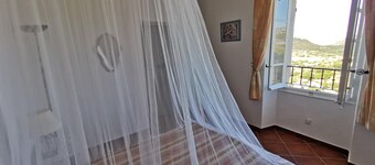 Appartement Palazzo T2 Patrimonio