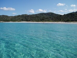 A clear turquoise sea with a sandy beach and a forested hill in the background. - Appartement T3 Luccia Proche Saint Florent (Oletta)