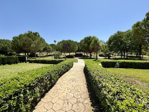 Apartamento | 3 dormitorios