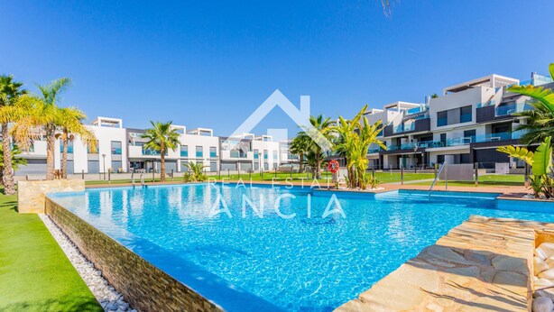 A swimming pool with a stone border, surrounded by a well-maintained lawn and palm trees. - Casa Rosa in Guardamar (Guardamar del Segura)